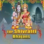 Top Shivratri Bhajans - Sagar Song Download